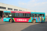 寶娜斯車身